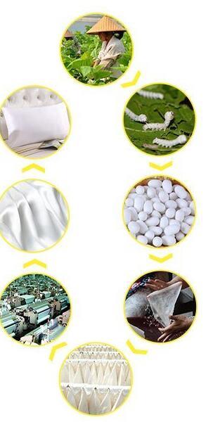 soie (2) silk (2)